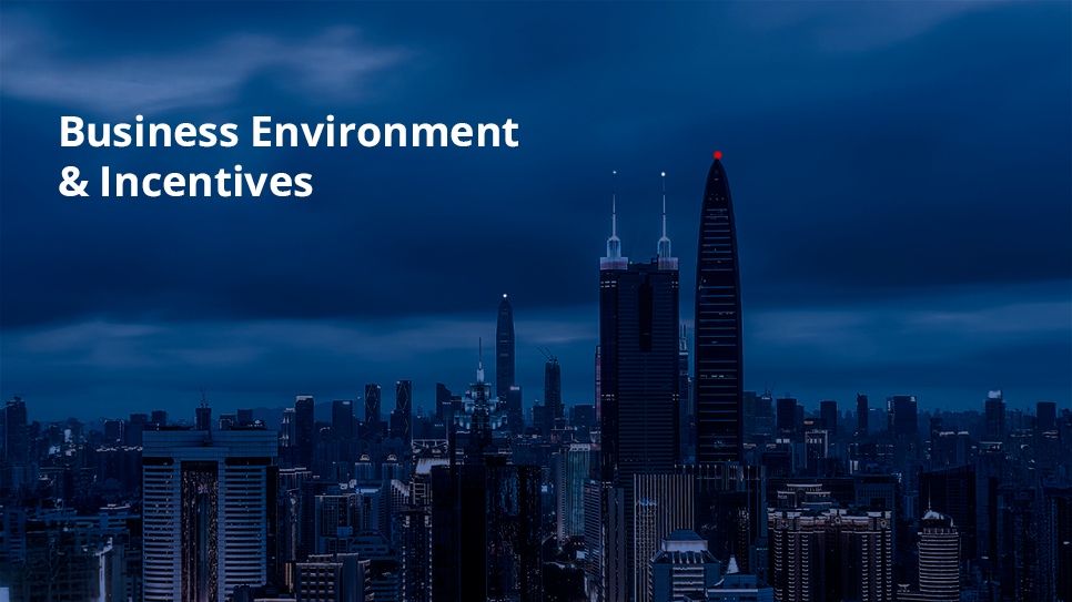 Business Environment & Incentives