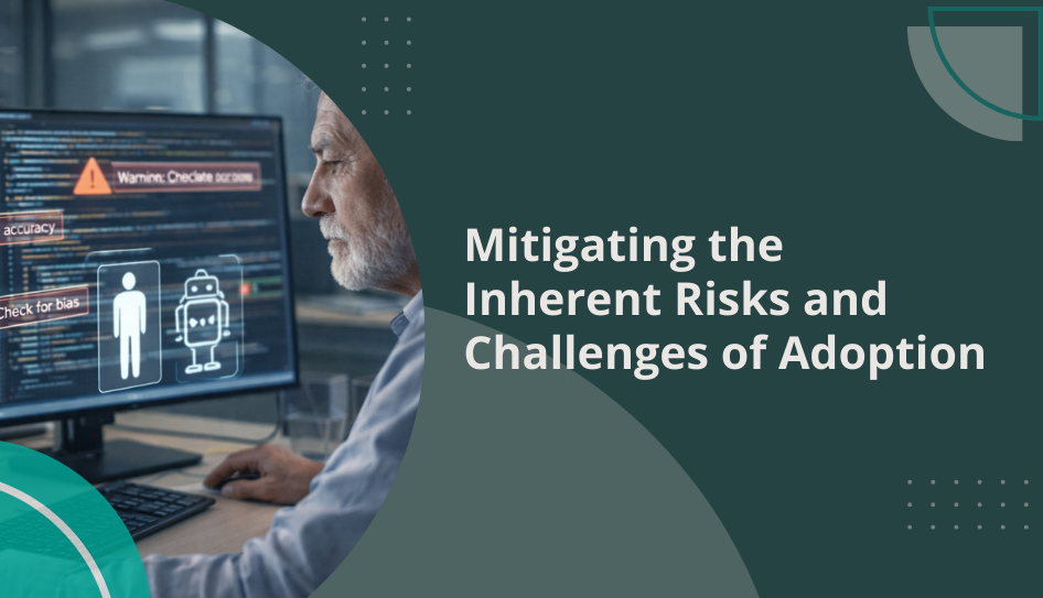 Mitigating the Inherent Risks and Challenges of Adoption
